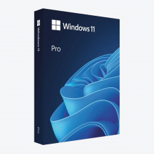 [HAV-00163] Microsoft Windows 11 PRO [64-bit] Eng Intl USB [FPP]