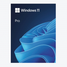 [HAV-00163] Microsoft Windows 11 PRO [64-bit] Eng Intl USB [FPP]