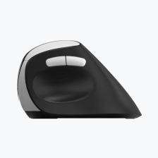 เมาส์ไร้สาย RAPOO Wireless Mouse (EV250-BK)